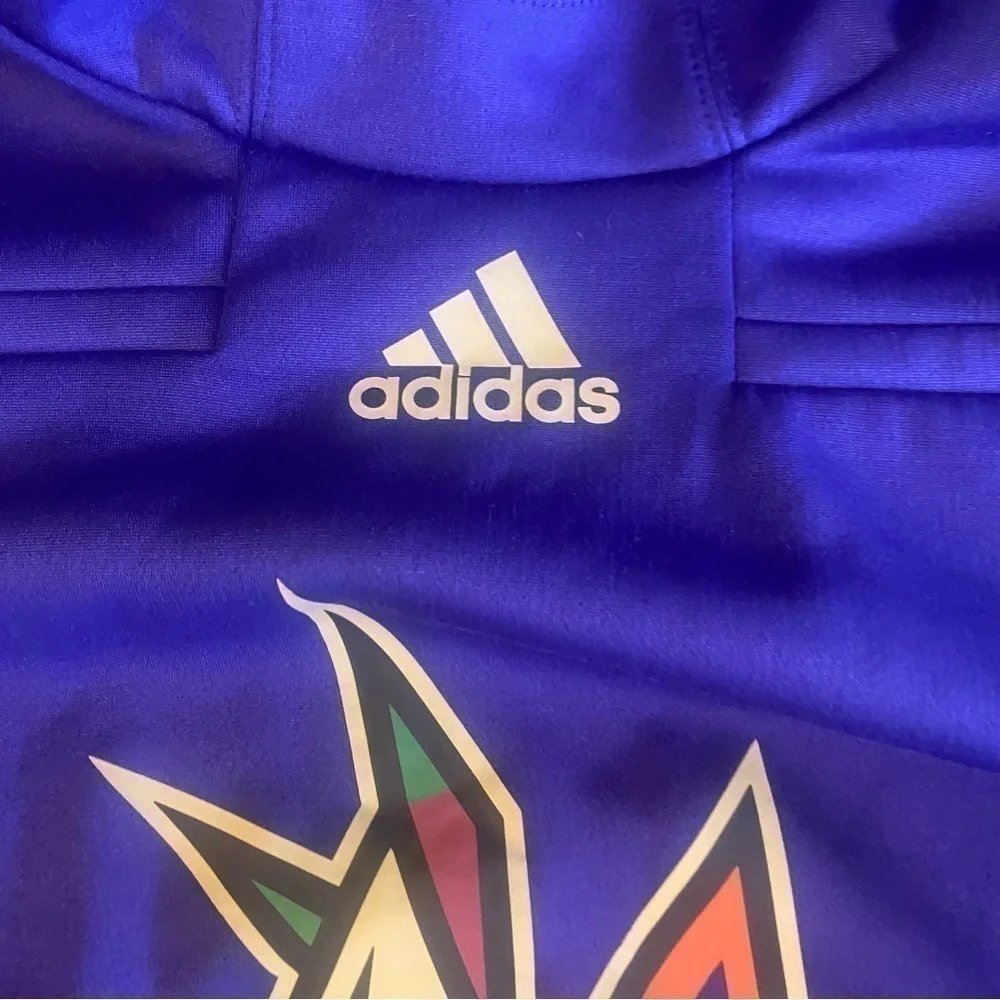 *Really Clean Arizona Coyotes adidas Purple Reverse Retro Pullover Hoodie Size S